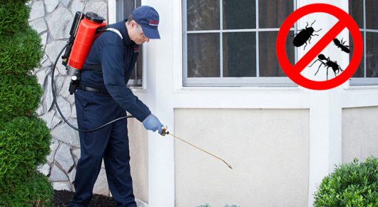 Çayıralan Karınca İlaçlama böcek ilaçlama ve haşere kontrolü — ilaclama-tr.com